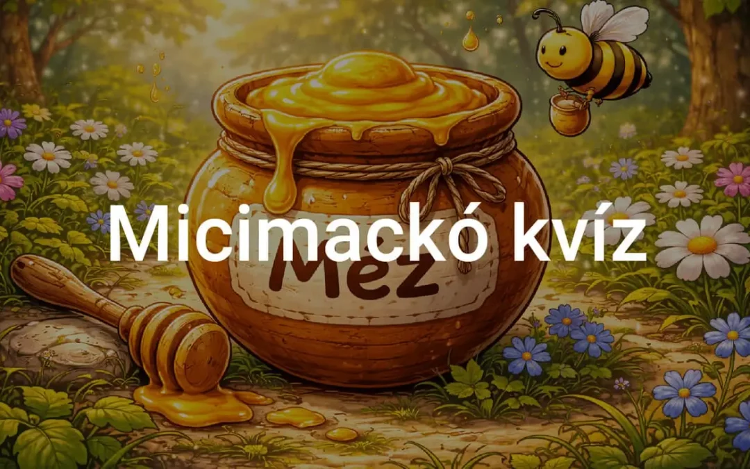 Micimackó kvíz